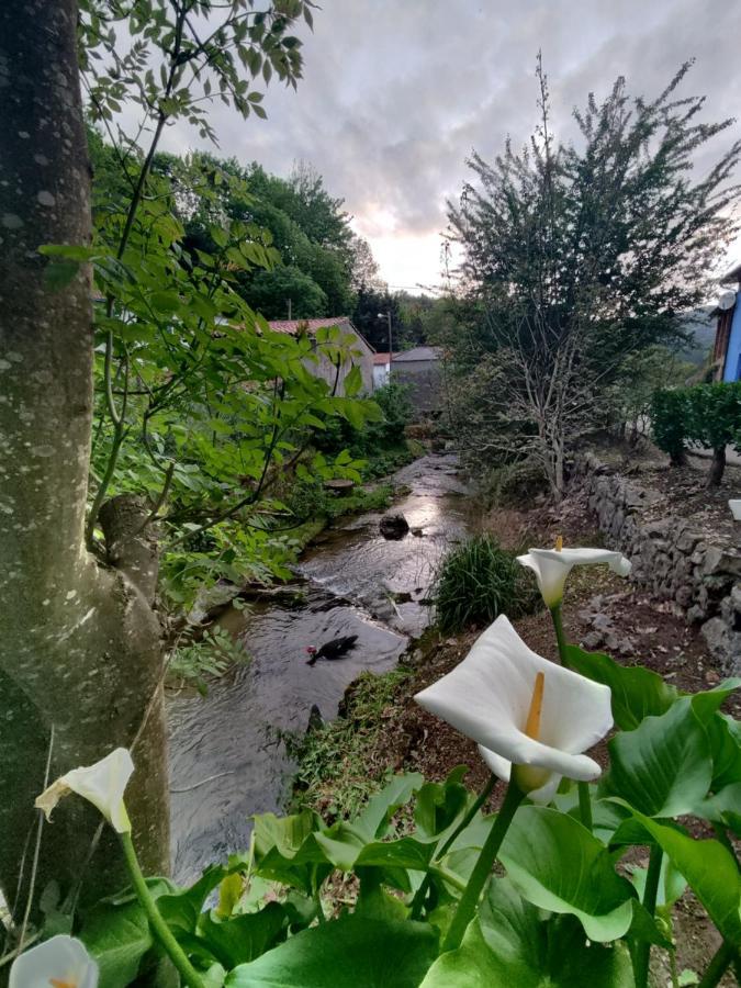 Casa La Cobaraza Vivienda Vacacional リャネス エクステリア 写真
